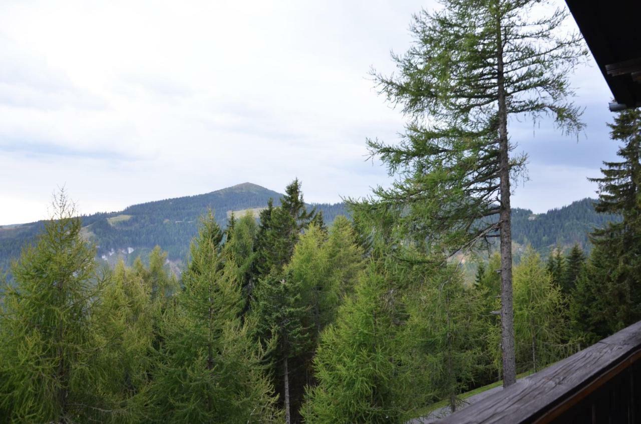 Ferienhaus Bergfee Klippitztorl Buitenkant foto