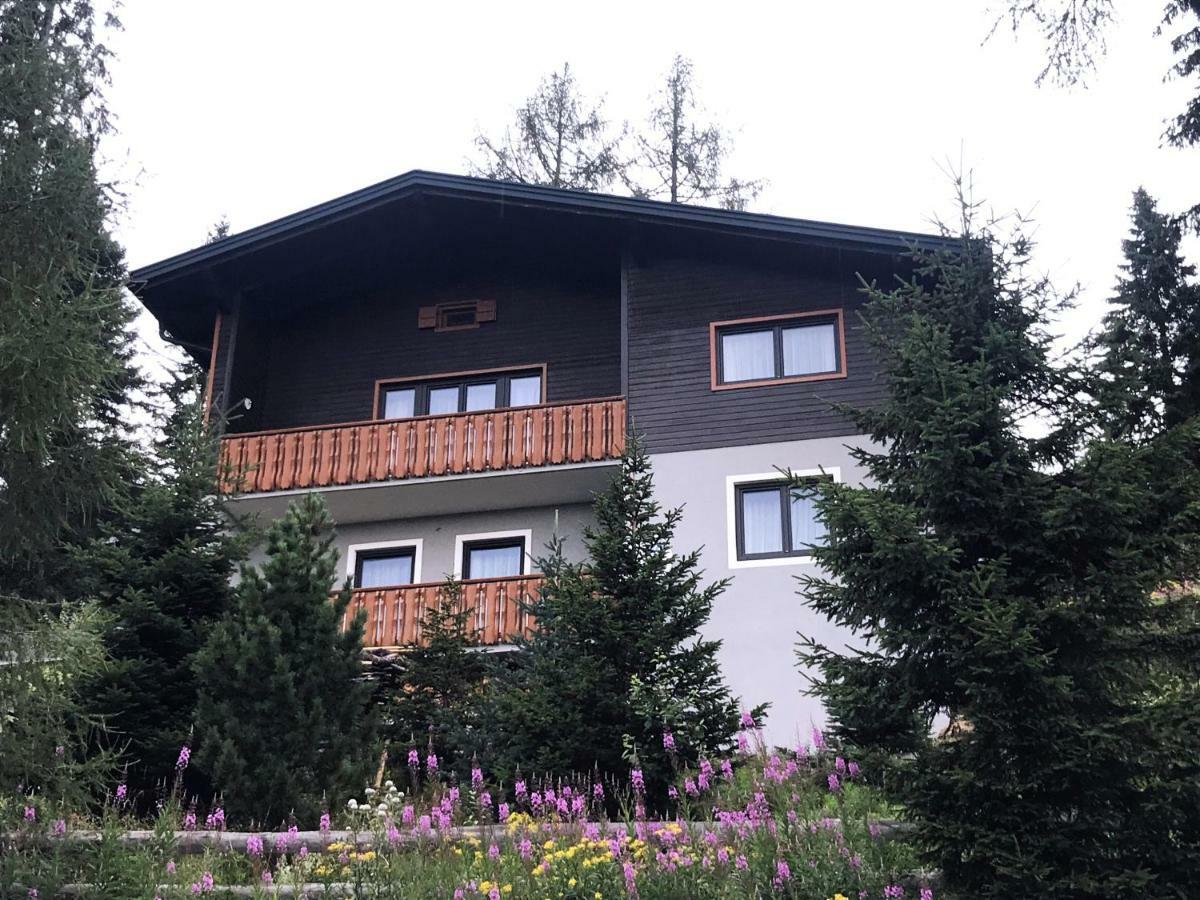 Ferienhaus Bergfee Klippitztorl Buitenkant foto