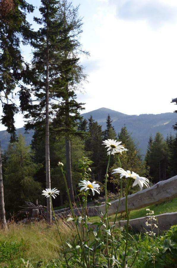 Ferienhaus Bergfee Klippitztorl Buitenkant foto