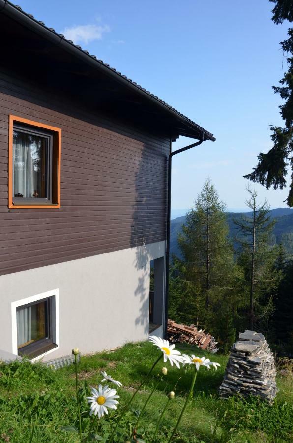 Ferienhaus Bergfee Klippitztorl Buitenkant foto