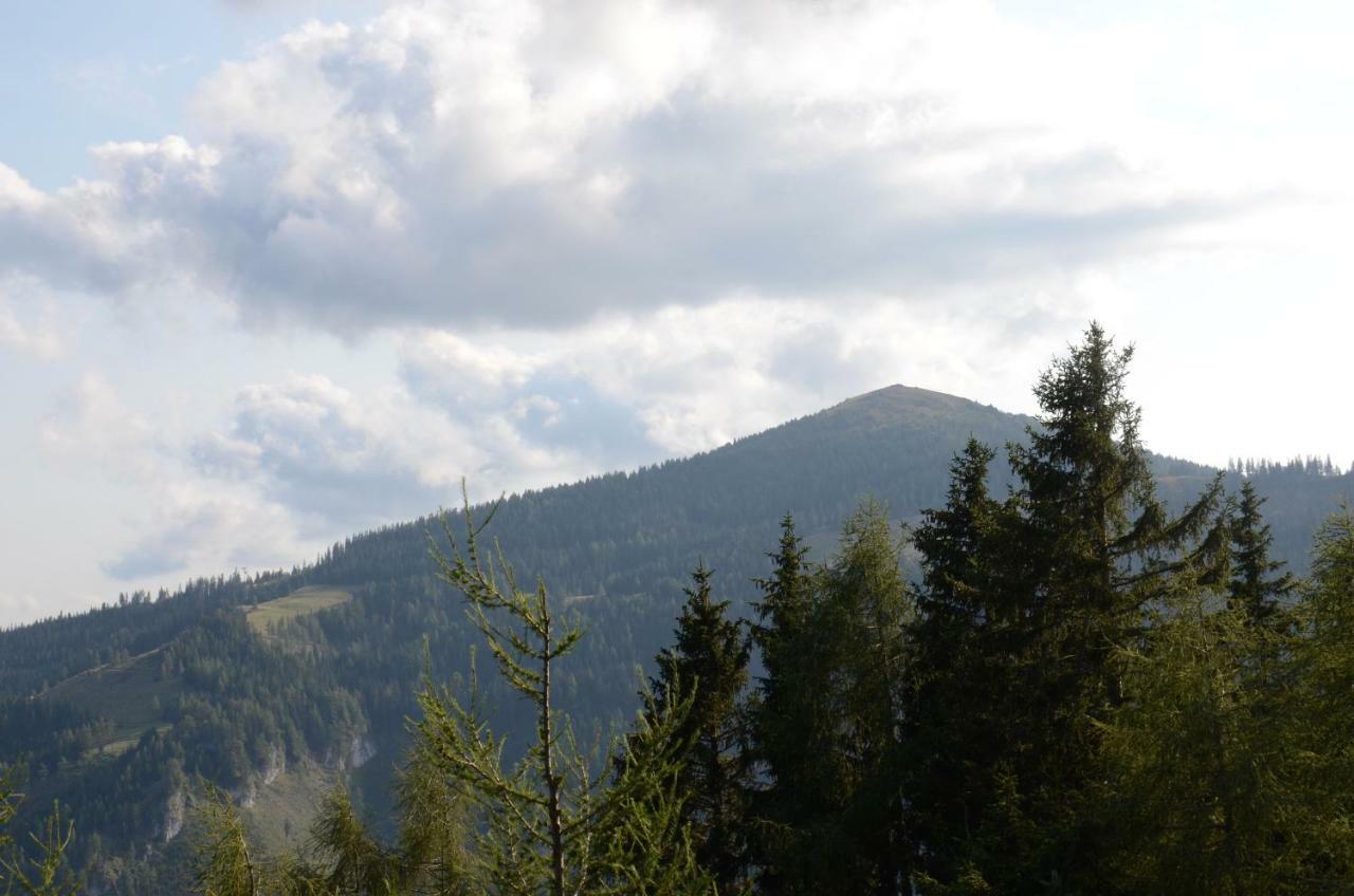 Ferienhaus Bergfee Klippitztorl Buitenkant foto